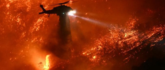 Sobe para 16 número de mortos nos incêndios florestais em Los Angeles